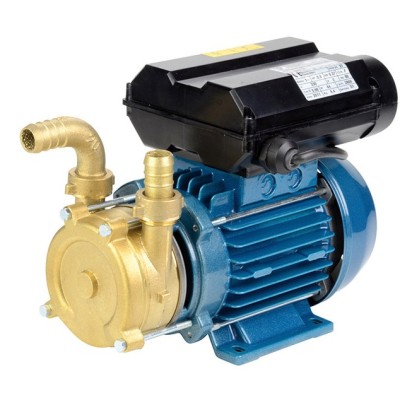 POMPE DE TRANSFERT LAITON AUTO-AMORCANTE 230V